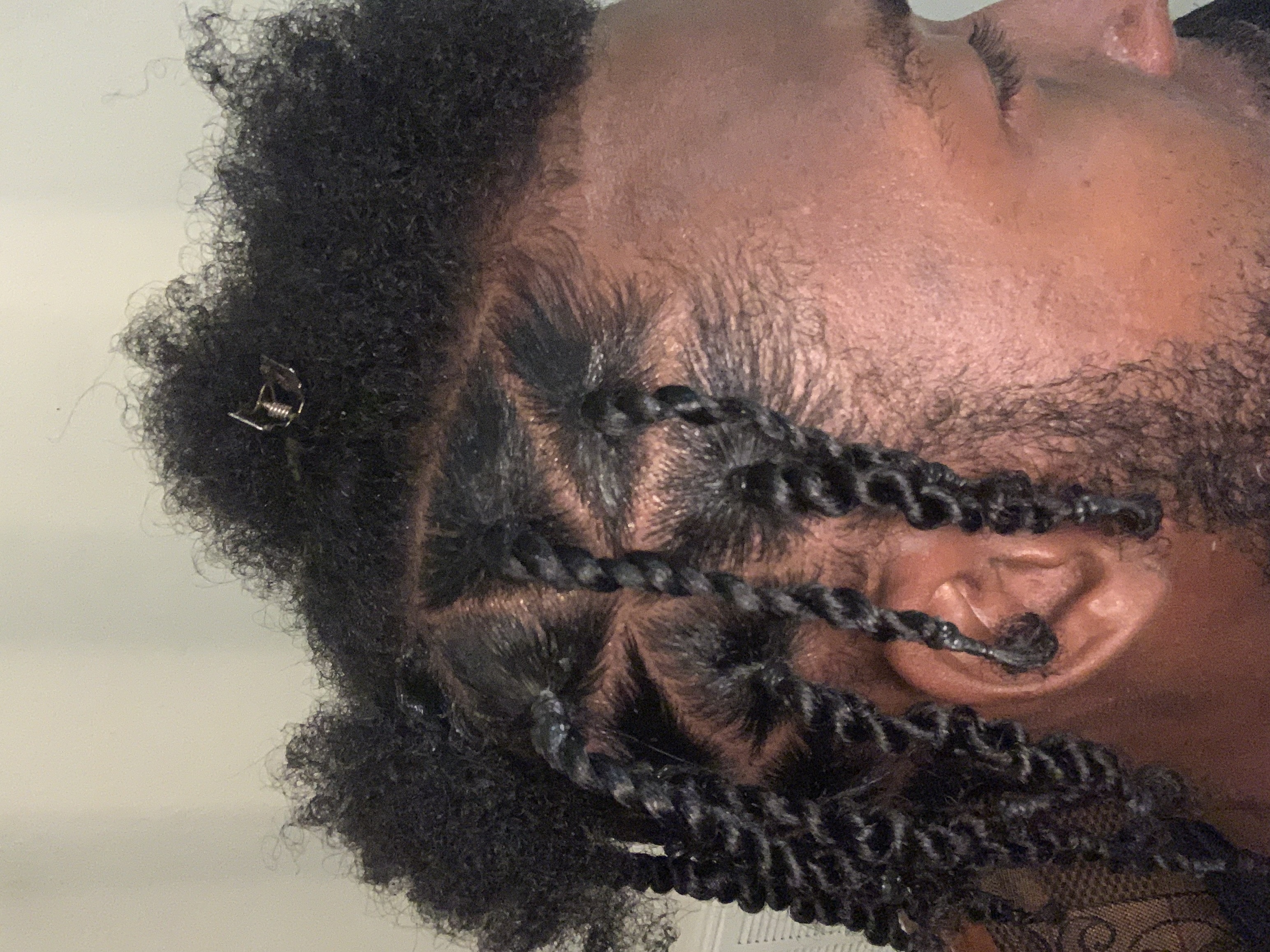 Two Strand Twist
